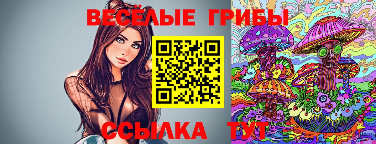 Галлюциногенные грибы Psilocybe Лосино-Петровский