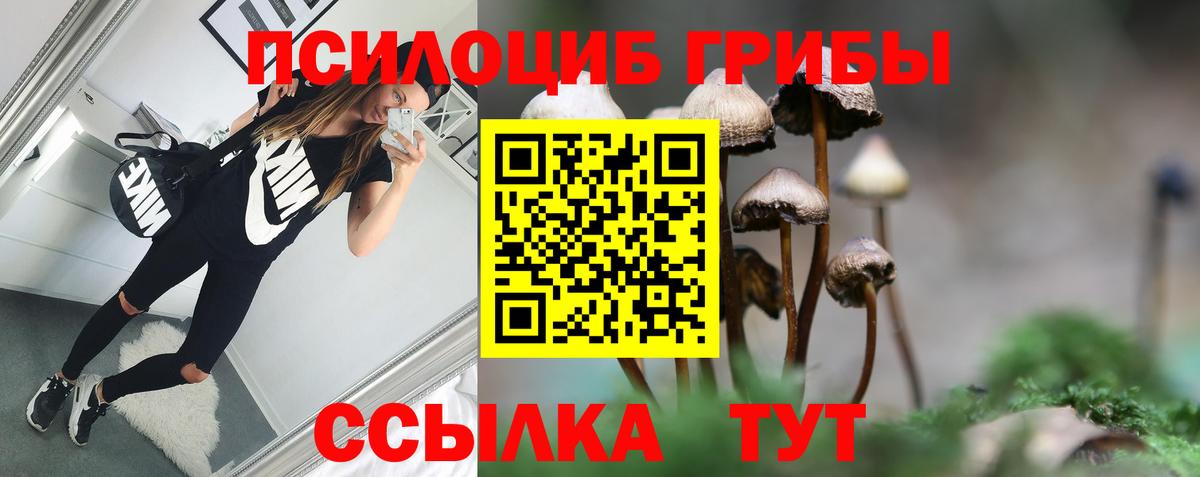 Псилоцибиновые грибы Psilocybine cubensis  Вход с VPN  Псилоцибиновые грибы MAGIC MUSHROOMS  Лосино-Петровский 